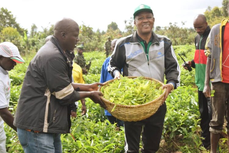 Le Vice-Président Bazombaza exhorte la population à s’investir davantage dans les activités agricoles pour augmenter la production